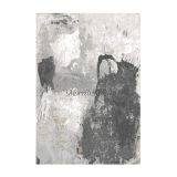 morelli-rugs-new-stock-oct-2019_watermark_0004_LARGE-LOGO-FOR-WEB copy 5