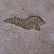 Custom Cut Cream
